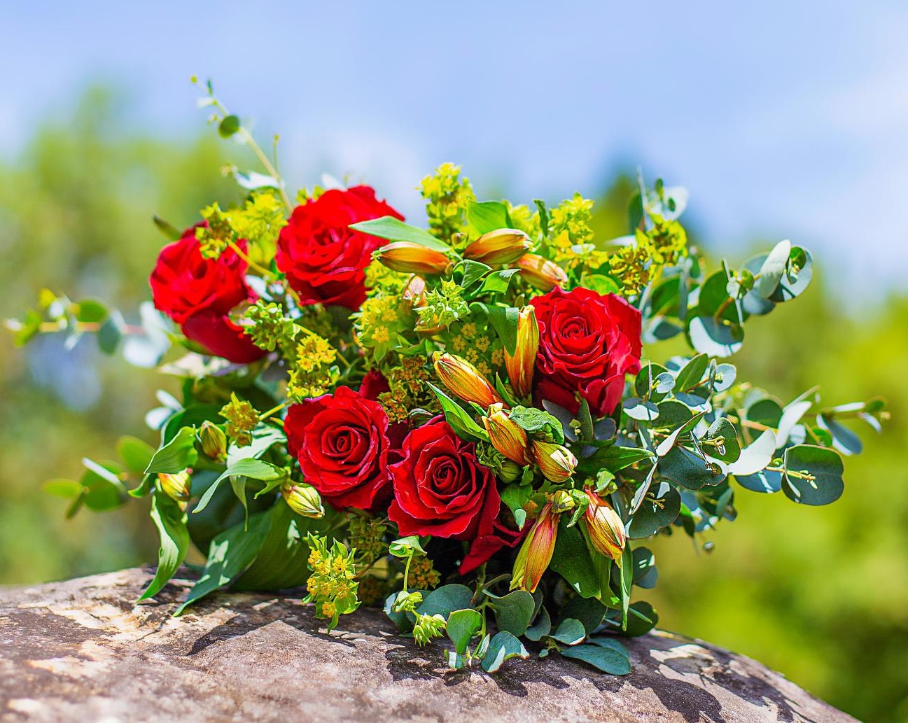 Fresh red roses and complementary foliage