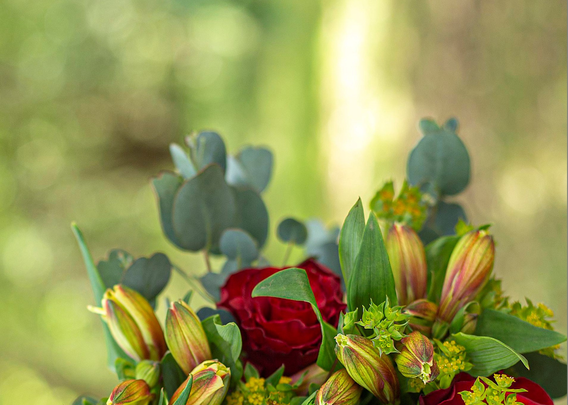 Roses with foliage