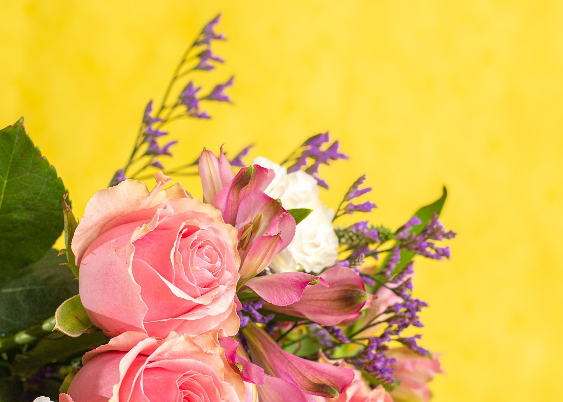Seasonal pink flowers